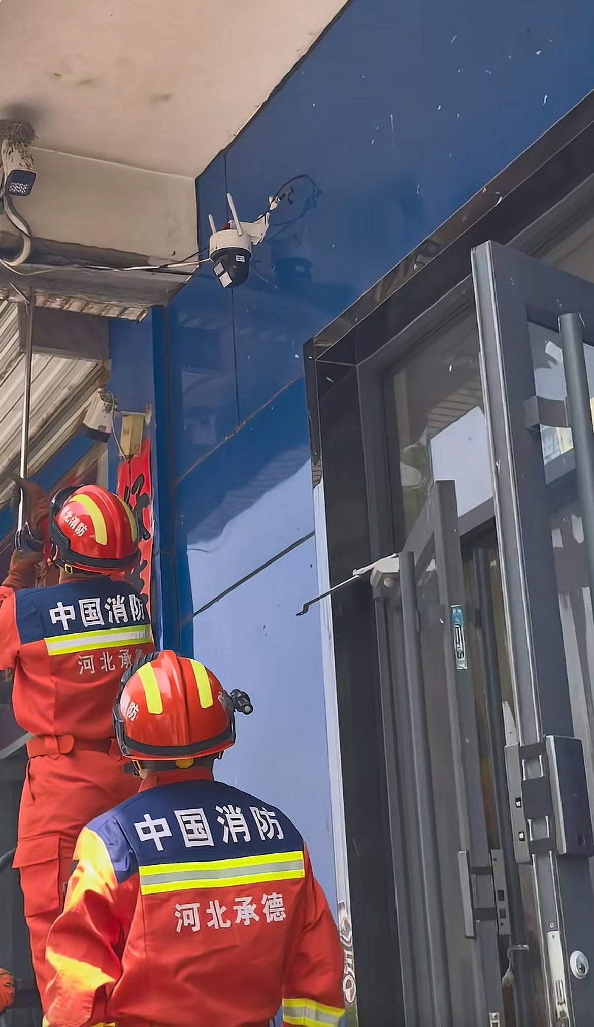 河北一商家拍下店门口燕窝被一米五长蛇偷袭：五只小燕子才孵出来没几天就被吃光了