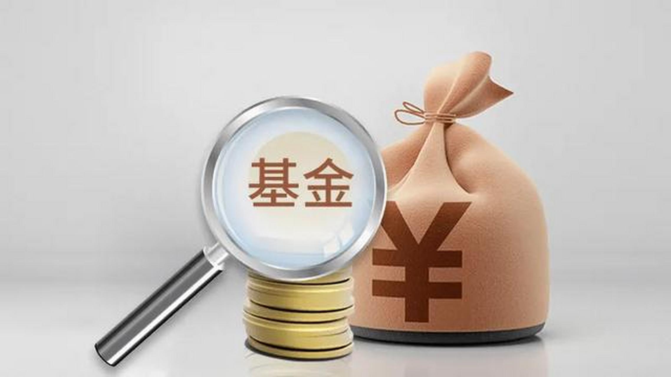 一只基金(一只基金的满仓是多少)
