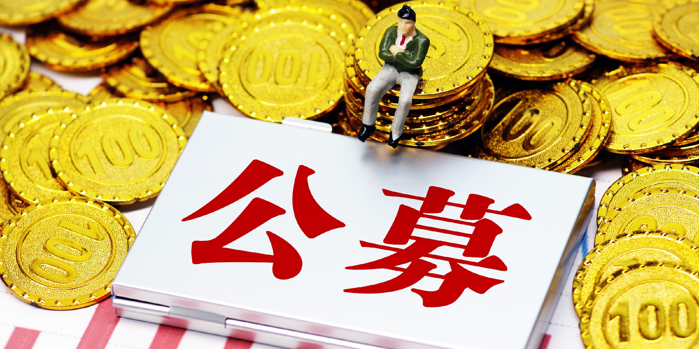 政府基金(政府基金投资管理办法)