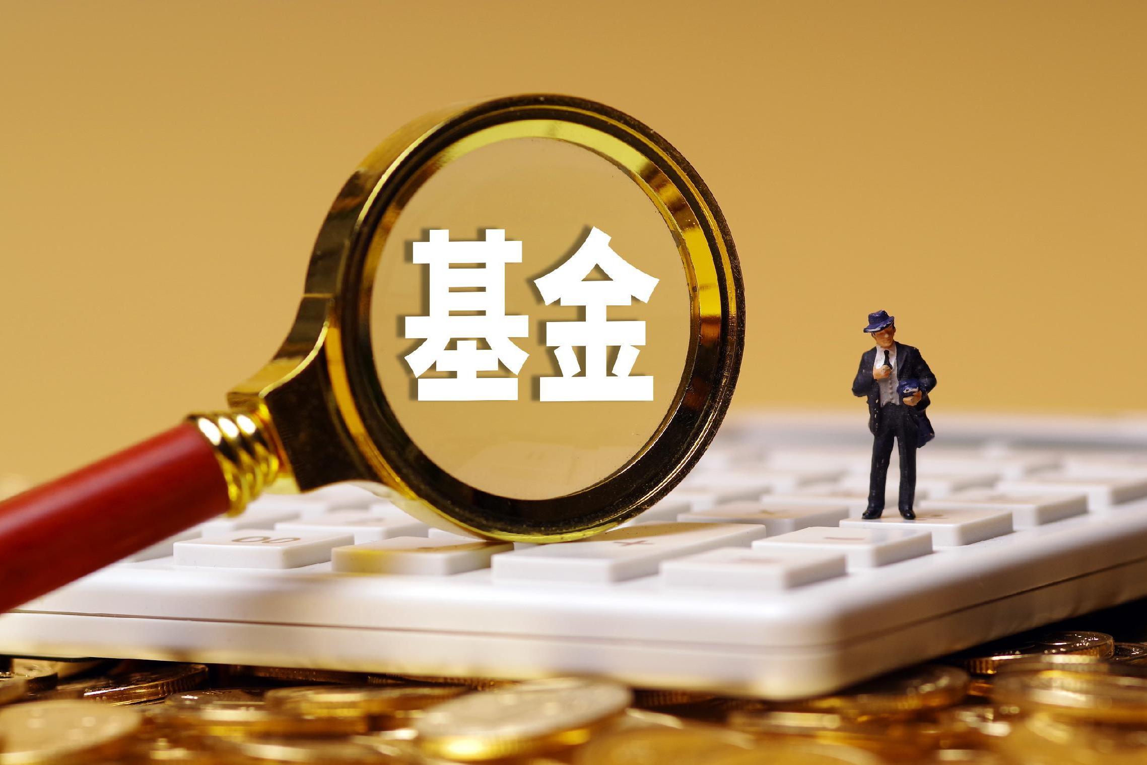 基金中的基金(基金中的基金英文)