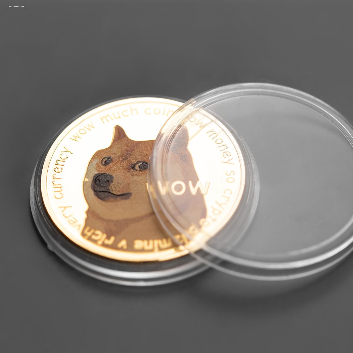 doge是什么币(dog币是什么意思)