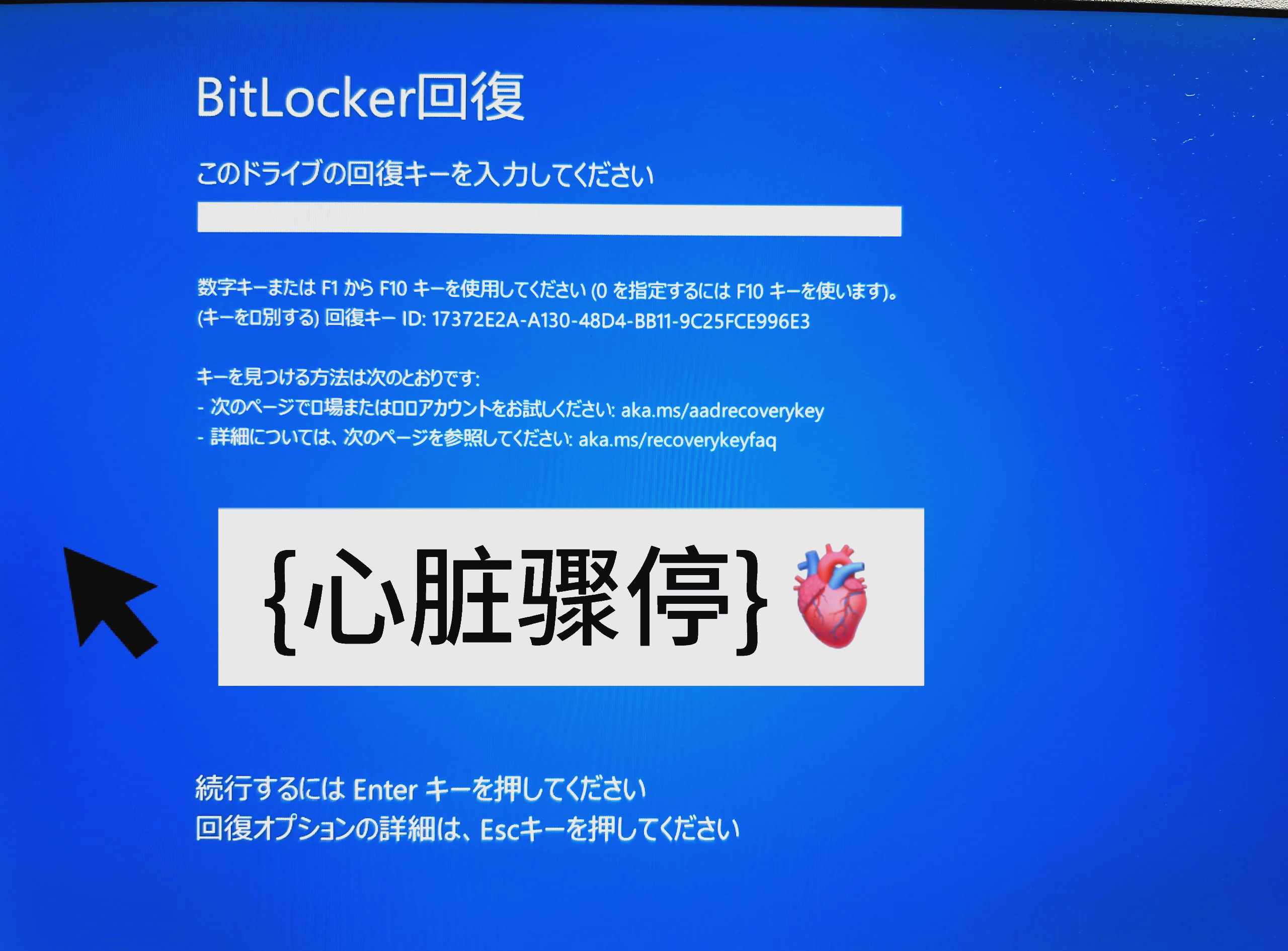 bitget官网(bit hit官网)