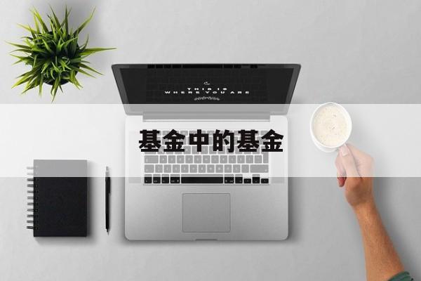 基金中的基金(基金有哪些种类)