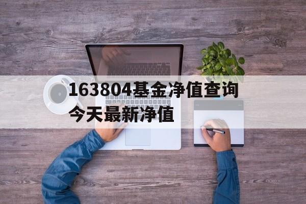 163804基金净值查询今天最新净值(163804基金净值查询今天最新净值是多少)