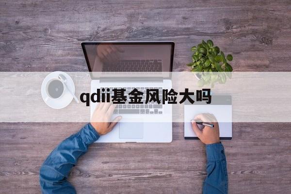 qdii基金风险大吗(qdii基金风险大概有多大)